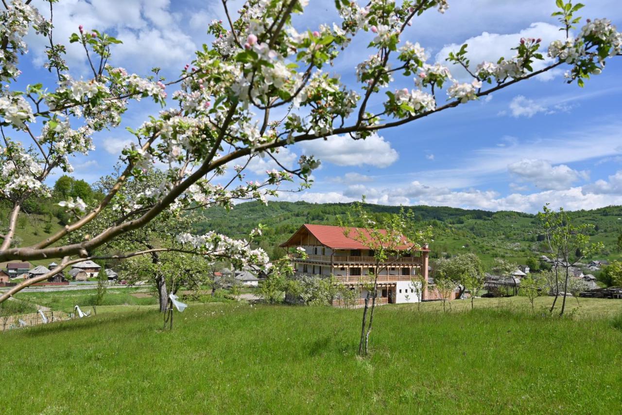 Pensiunea Plai Strabun Strîmtura Exterior foto