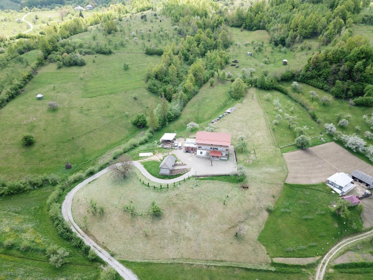 Pensiunea Plai Strabun Strîmtura Exterior foto