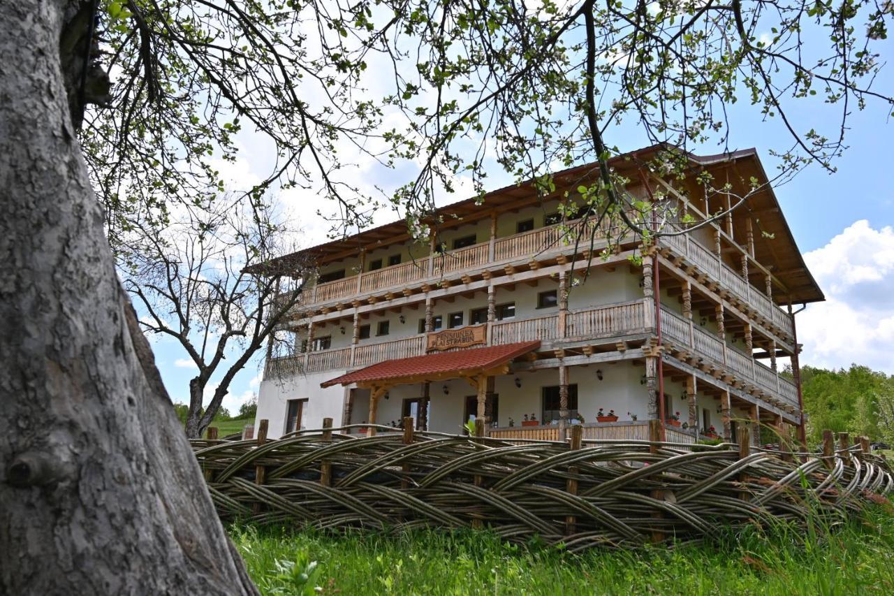 Pensiunea Plai Strabun Strîmtura Exterior foto