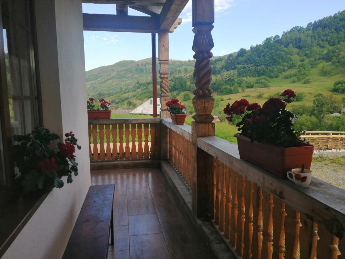 Pensiunea Plai Strabun Strîmtura Exterior foto